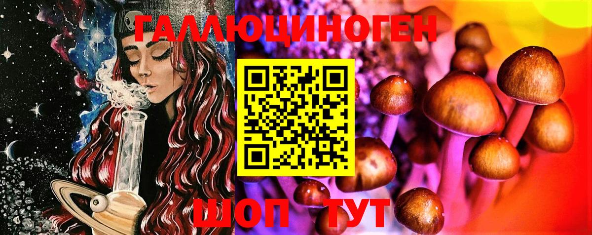 Комсомольск-на-Амуре  Псилоцибиновые грибы Cubensis  Вход с VPN 