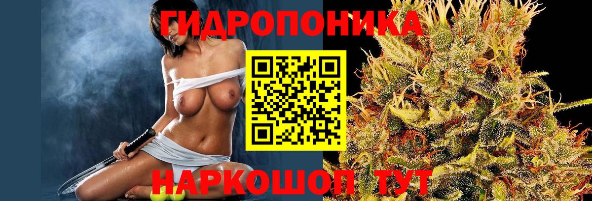 Шишки марихуана сатива Комсомольск-на-Амуре